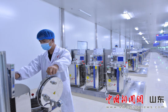 中药集采自动化、煎药智能化、互联网问诊、配送一体化……济南创新打造“智慧中药房”。杜伟 摄