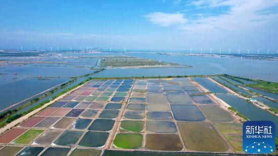 这是8月26日拍摄的山东省荣成市港西镇海边的一处盐田（无人机照片）。