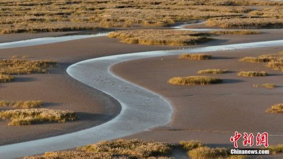 10月17日，山东省东营市黄河入海口处迎来最美观赏季。