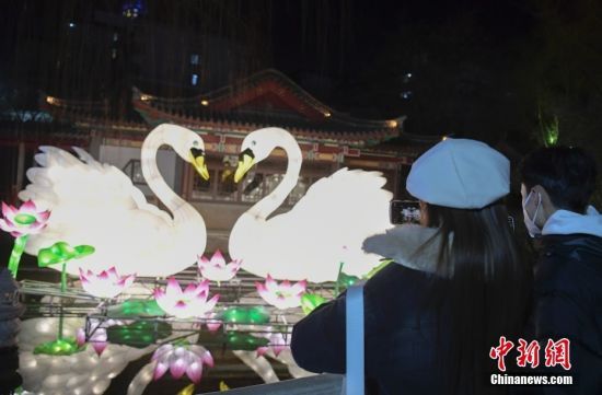 1月19日，春节临近，山东济南趵突泉景区内花灯璀璨，吸引民众前来赏灯。 中新社记者 张勇 摄 　