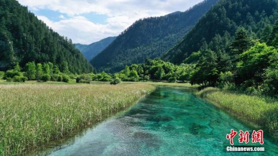 6月8日，初夏时节，世界自然遗产地九寨沟景区风景如画，吸引众多游客观光游玩。
