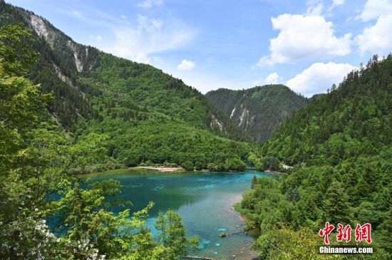 6月8日，初夏时节，世界自然遗产地九寨沟景区风景如画，吸引众多游客观光游玩。
