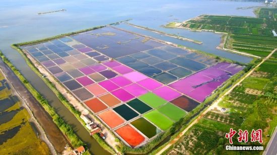 8月7日，俯瞰山东省荣成市港西镇大海边的多彩盐田，五彩缤纷。
