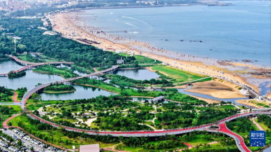 8月8日航拍的日照市阳光海岸绿道(无人机照片)。近年来，日照市对沿海裸露场地及岸线破损处进行生态修复，建成约28公里的阳光海岸绿道，为市民和游客提供了运动休闲好去处。
