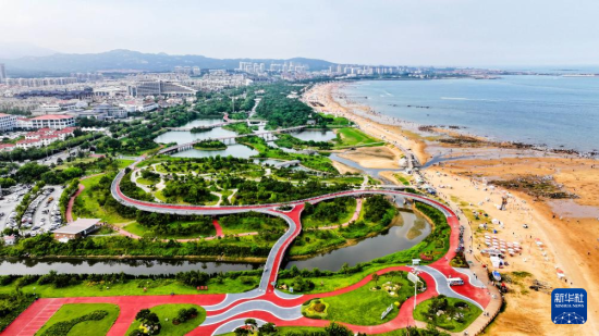 8月8日航拍的日照市阳光海岸绿道（无人机照片）。近年来，日照市对沿海裸露场地及岸线破损处进行生态修复，建成约28公里的阳光海岸绿道，为市民和游客提供了运动休闲好去处。