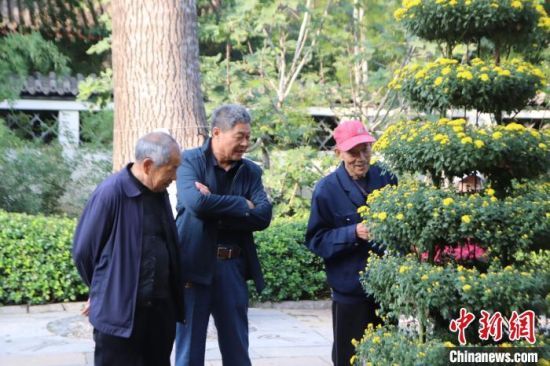 10月29日，山东济南，天气晴好，市民游客游览趵突泉，拍摄菊花。10月26日——11月24日，第45届趵突泉金秋菊展展出，6万余盆菊花竞相在趵突泉盛放。中新社记者 李明芮 摄