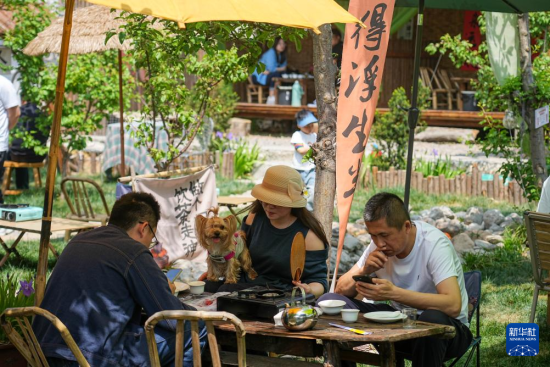 　　4月20日，在张夏街道岳庄村，游客在一处休闲庭院内休闲娱乐。新华社记者 朱峥 摄